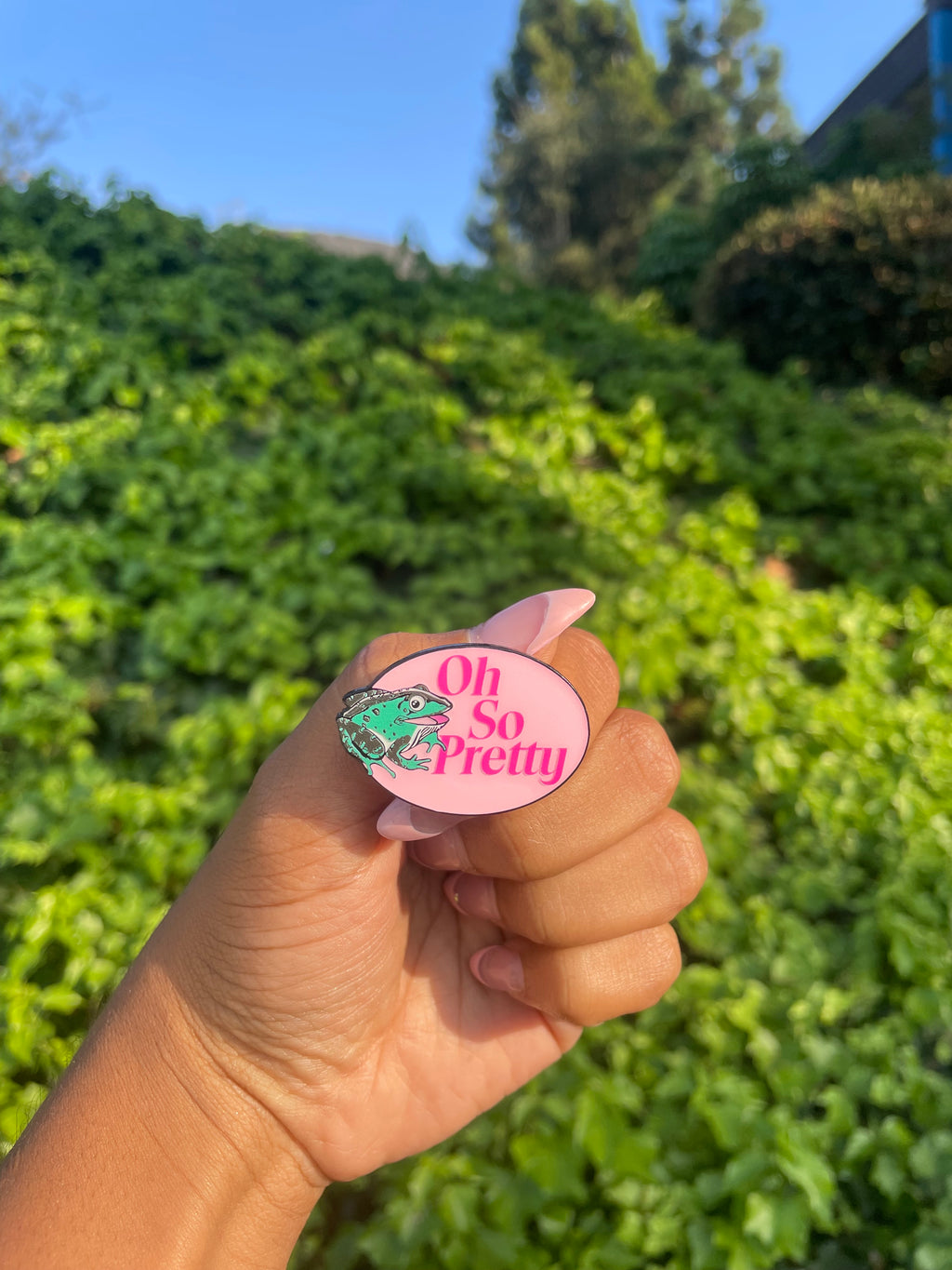Lapel pin (Oh So Pretty)