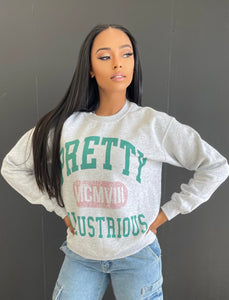 Pretty Illustrious Sweater